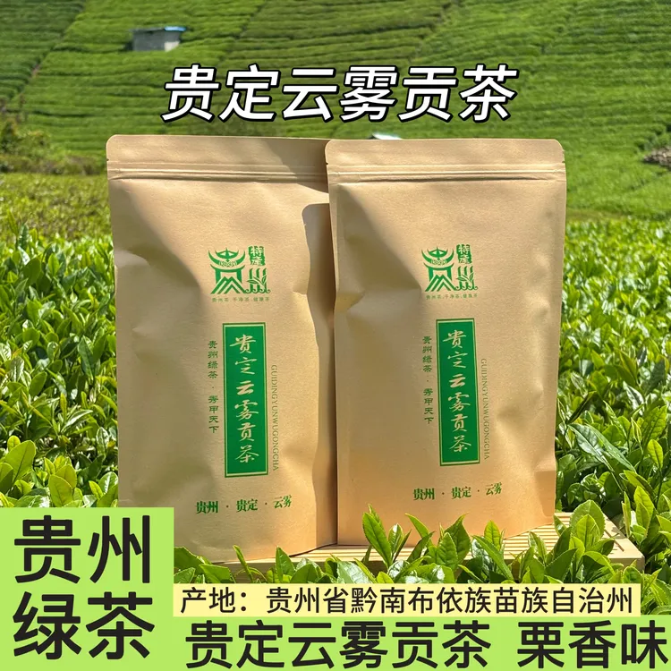 贵州绿茶云雾贡茶2025新茶栗香耐泡型鸟王种2025年新绿茶【C23】