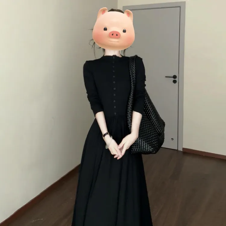 赫本风高领设计感连衣裙子女2025新款初秋季大方得体显瘦A字长裙