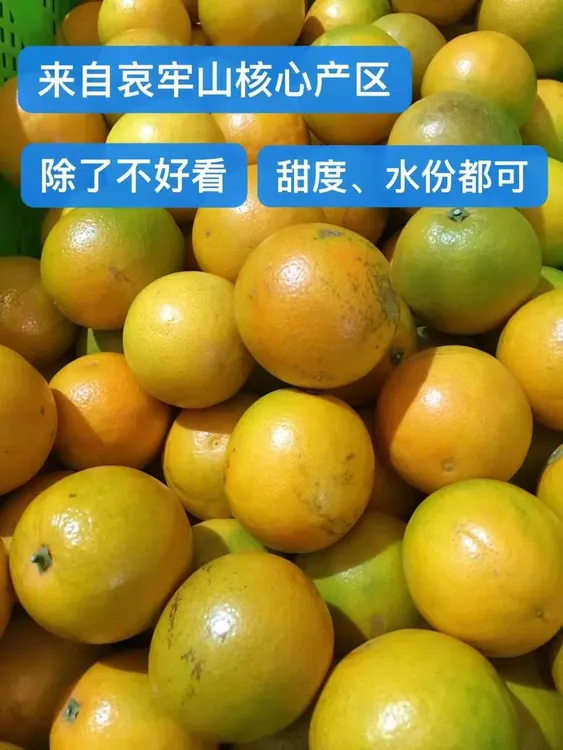 【正宗花斑橙】精选云南哀牢山冰糖橙汁水丰富甘甜可口新鲜现摘