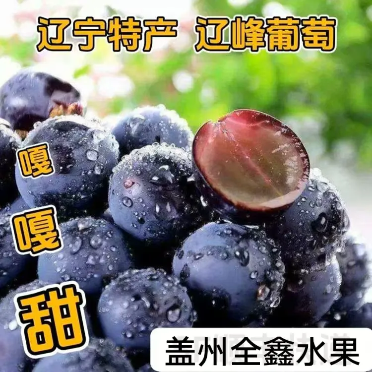 【辽宁特产辽峰葡萄】净重2斤3斤4斤（剪粒包装发货）