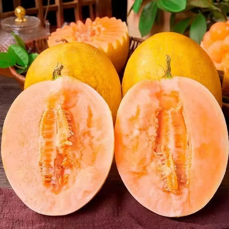 黄金蜜瓜正宗海南新鲜水果当季脆甜蜜瓜爆甜多汁