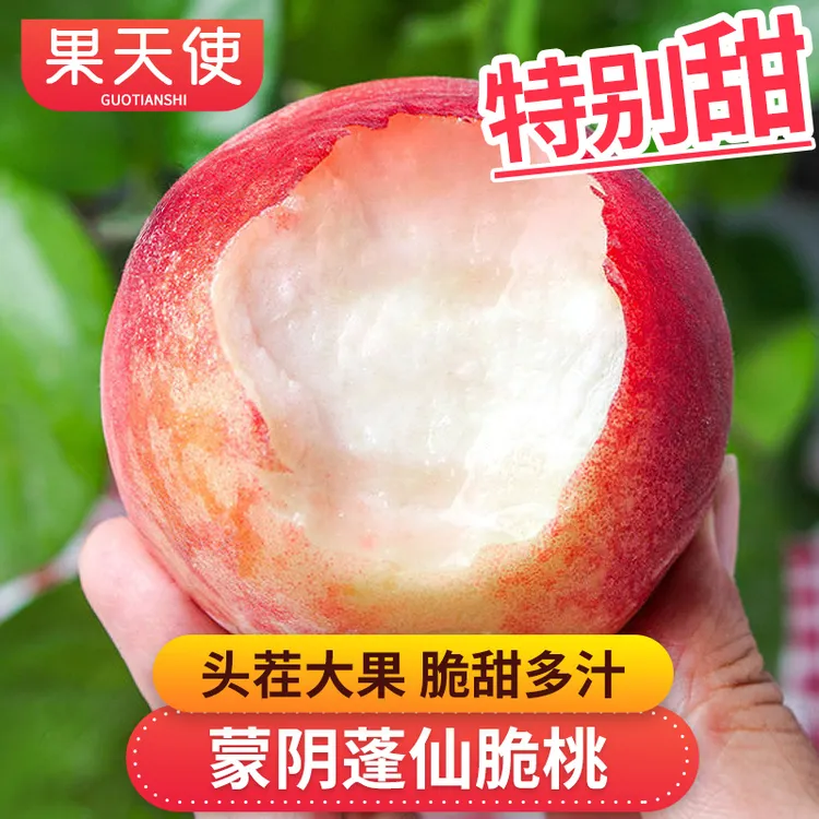 【果天使】山东蒙阴蓬仙蜜桃2-6.5斤香甜多汁新鲜应季水果桃子好吃