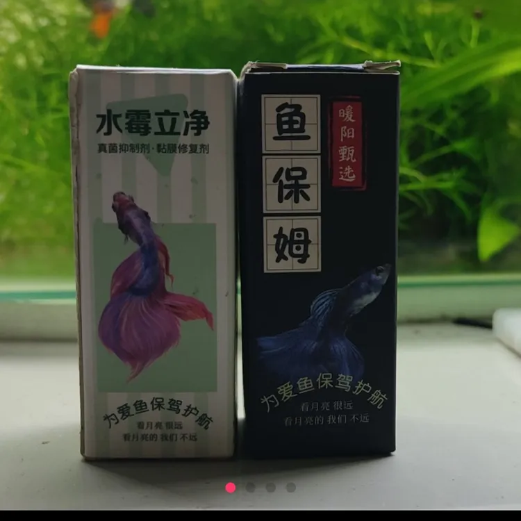 鱼保姆➕水霉立净套装预防孔雀鱼针尾缩尾摇头晃脑爬缸合缸检疫