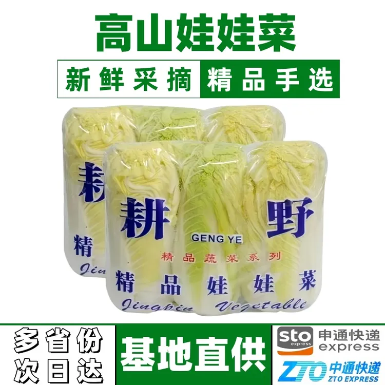新鲜娃娃菜产地直销新鲜现摘现卖小白菜家常又好吃新鲜黄心娃娃菜