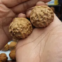 文玩核桃把件40尺 全品图图 4