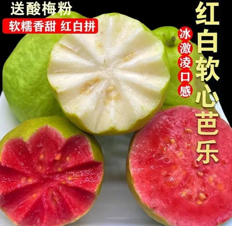 福建白心红心奶油芭乐软糯香甜番石榴（包邮）