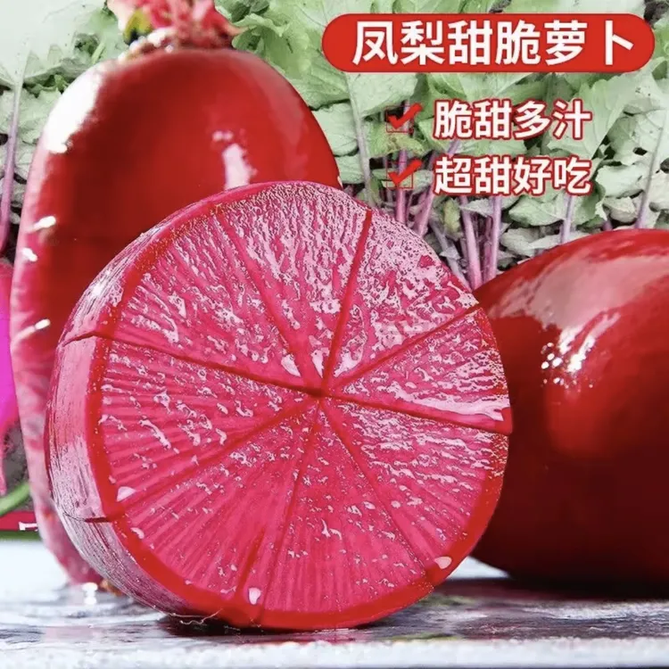 凤梨萝卜种子甜脆水果红皮红心萝卜籽凤梨水果萝卜