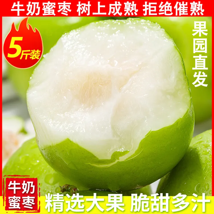 【5斤装】果王【福建漳州】正宗牛奶大青枣脆甜应季贵妃苹果蜜枣