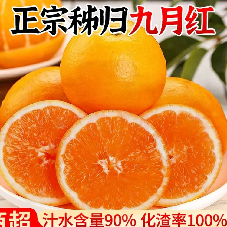 正宗产地直发新鲜橙子应季水果[自吃尝鲜]