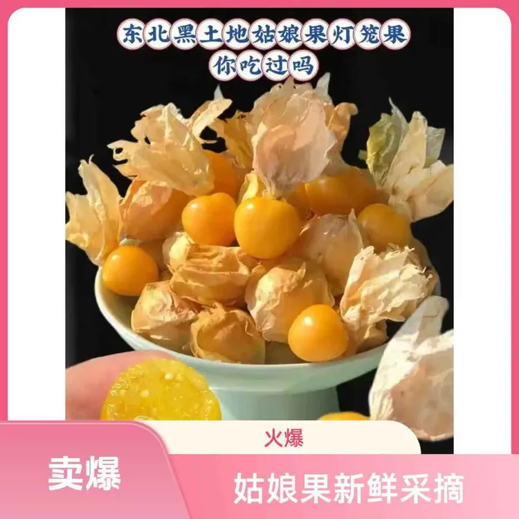 m东北新鲜姑娘果灯笼果香甜可口产地直发