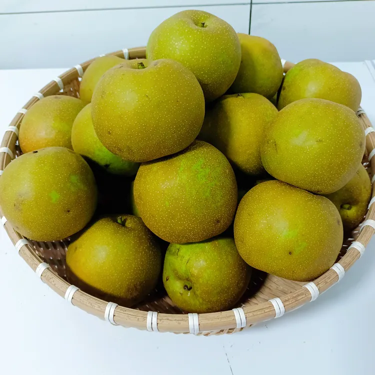 农家果园自种新鲜水果翠冠梨清脆香甜现摘现发5斤包邮