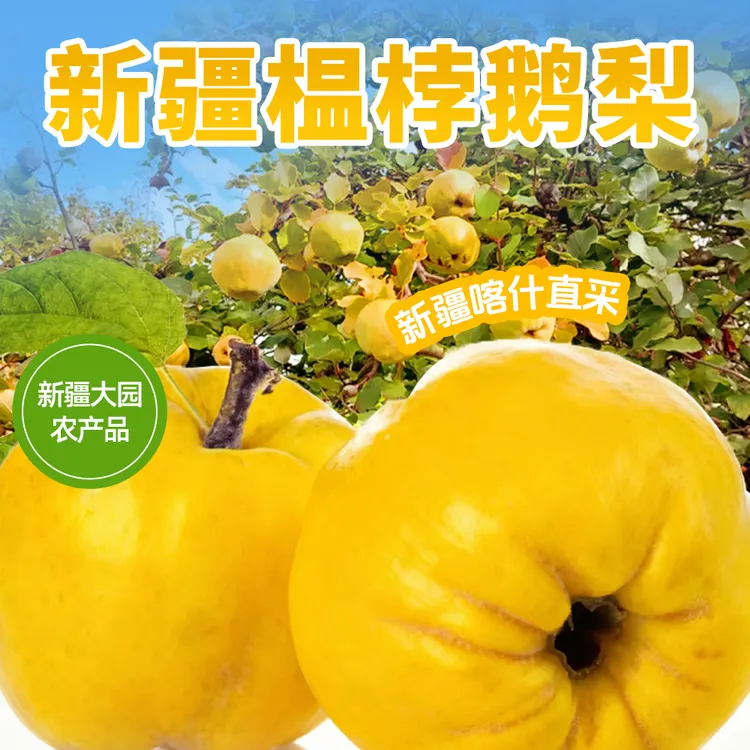 新疆特色罕见水果榅桲 新鲜美味新疆木瓜 鹅梨帐中香 新鲜水果