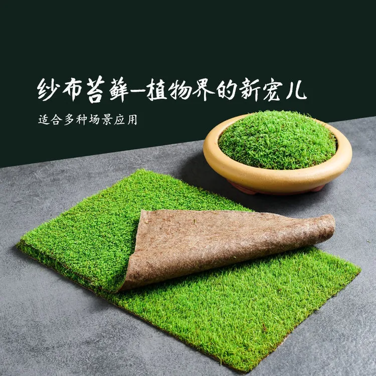 苔藓微景观短绒纱布苔藓造景庭院假山造景雨林造景植物