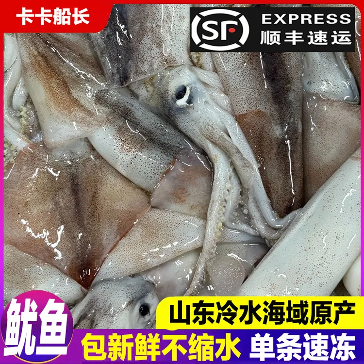 【鱿鱼】山东冷水海域真鱿野生时令海捕包新鲜