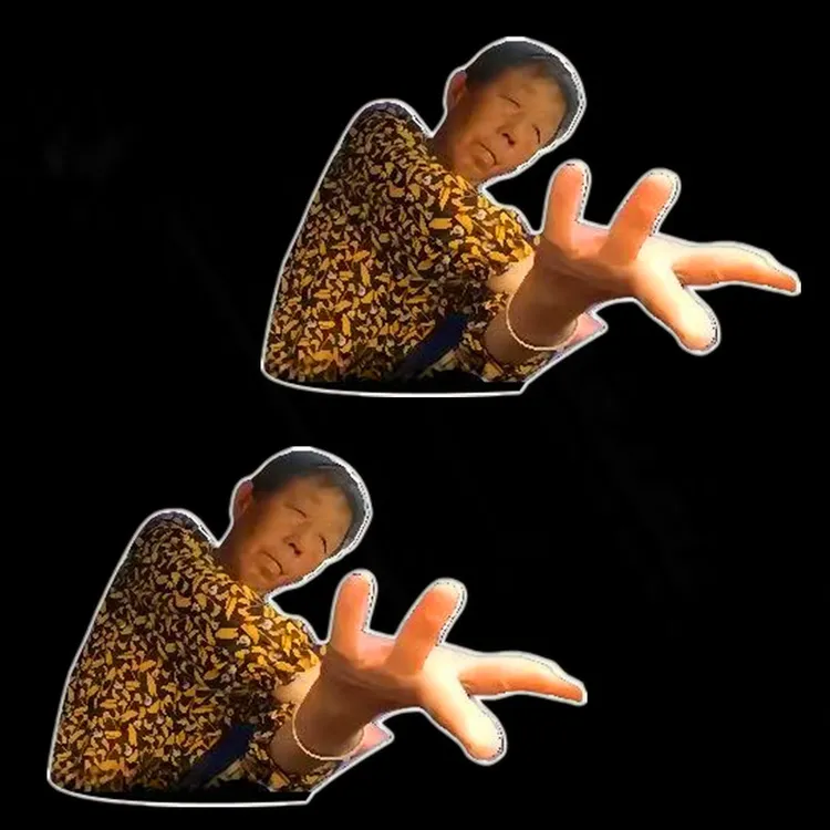 济南驾考曾教练柔柔大姨车贴2025抖音网红搞笑汽车贴纸电动车防水