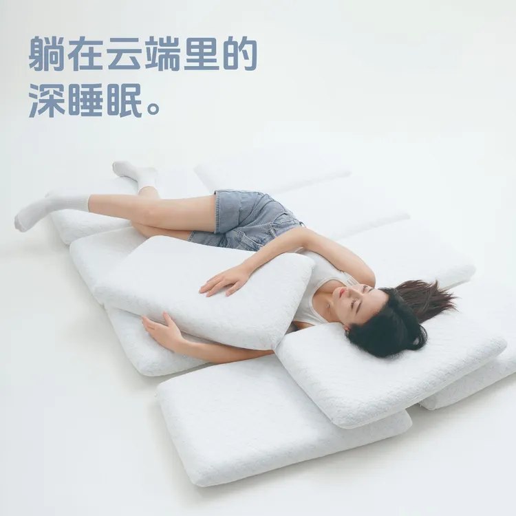 【达人专属】纾兰白日梦pro记忆绵深睡慢回弹护颈椎柔软四季款枕头n