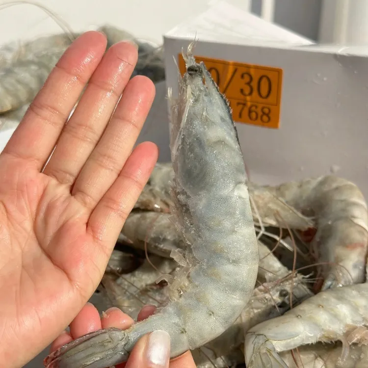 2030厄瓜多尔进口海水虾1.5KG/盒【甄选白虾】顺丰保鲜发货南美白虾