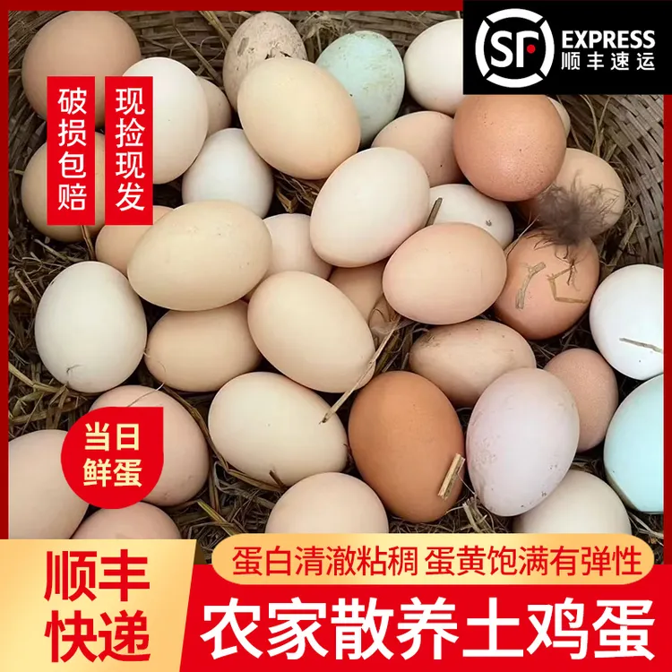 【粉壳散养土鸡蛋】40枚正宗山林散养新鲜土鸡蛋笨鸡蛋山林纯五谷