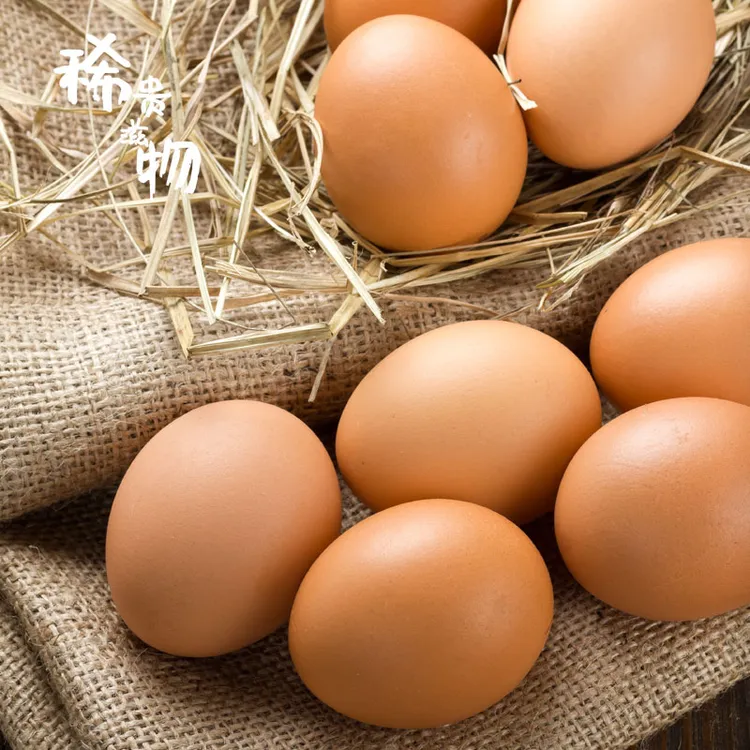【主播福利】散养土鸡蛋新鲜营养健康鸡蛋50枚