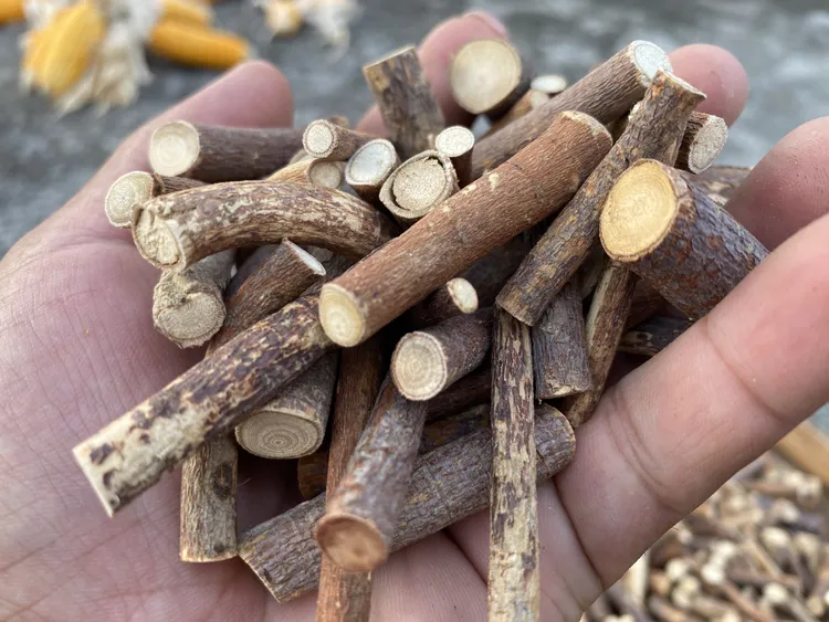 野生精选五指毛桃阴枝选节切段新货味道香浓可煲汤煮水广东煲汤料