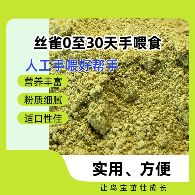 金青金黄灰燕黑喉玉鸟零天手喂食