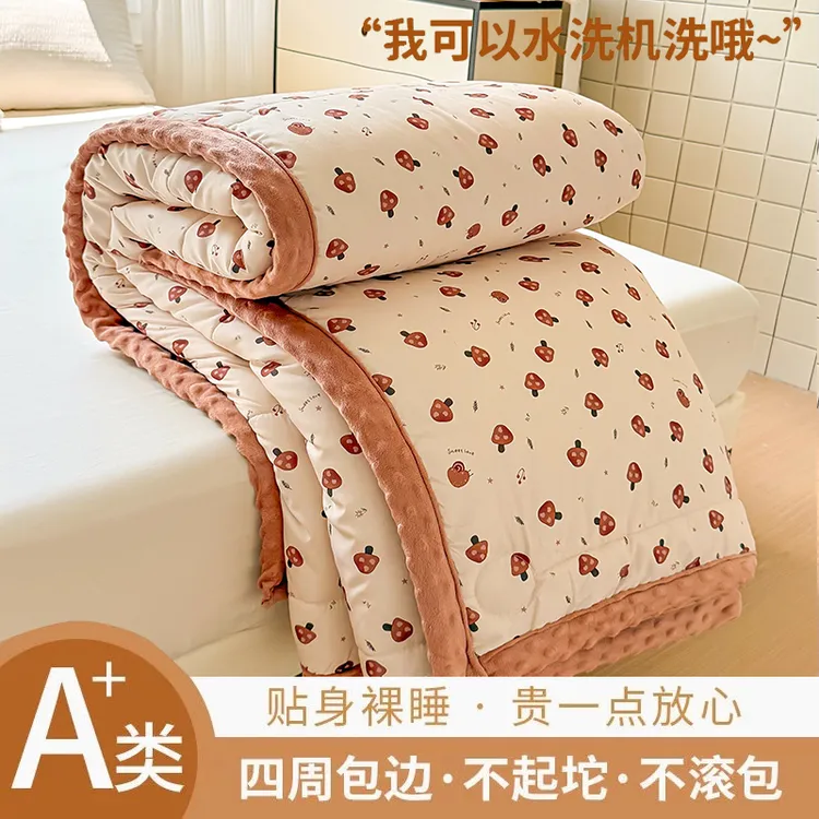 2025新款加绒亲肤被春秋被加绒加厚冬被