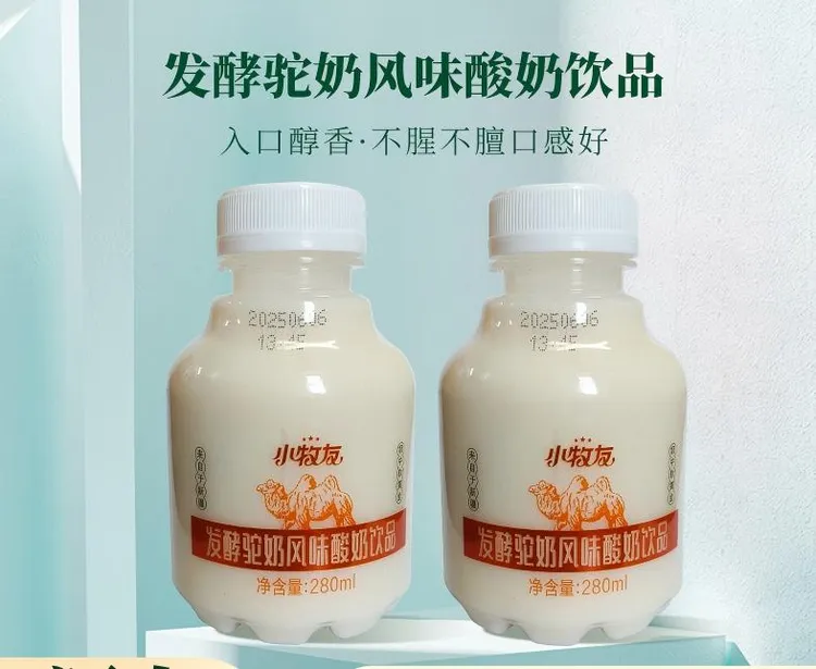 新疆直供【超低价】小牧友新疆骆驼老酸奶饮品