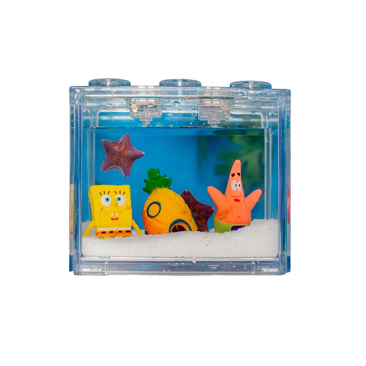 活体派大星海星饲养套餐宠物小景观桌面鱼缸造景海燕礼品装易养活