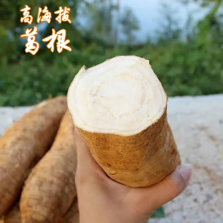 贵州农家鲜葛根高海拔山坡自种可生吃煮吃煲汤