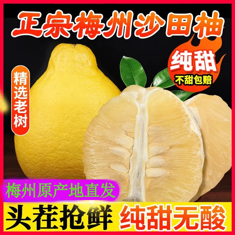 【纯甜无酸】梅州沙田柚广东金柚非红心蜜柚纯甜白心肉孕妇当季水果
