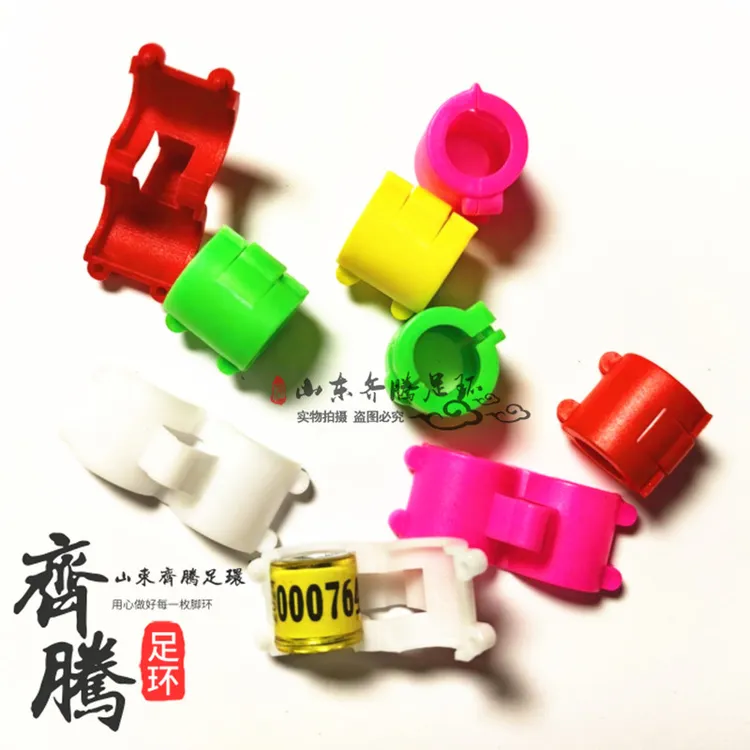 新款鸽子包环卡扣设计保护统一环外套多个颜色可选鸽子足环保护壳