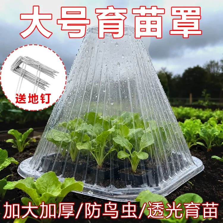 【送地钉】可重复使用方形育苗透明钟罩菜苗防冻免受霜冻鸟害菜苗罩