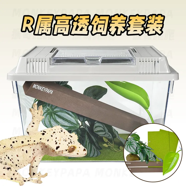 睫角R属守宫饲养套装爬宠高透通风透气手拎饲养盒套餐组合