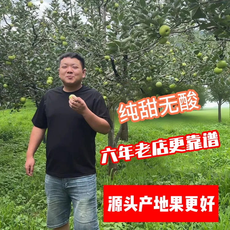 昭通苹果纯甜青苹果现摘现发孕妇小孩水果新鲜青苹果云南昭通苹果