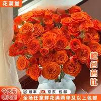 特价【次日达·橙芭比】鲜花橙色芭比5枝多头玫瑰鲜切花生活鲜花·基地直发·批发·全场两单鲜花顺丰包邮·次日达