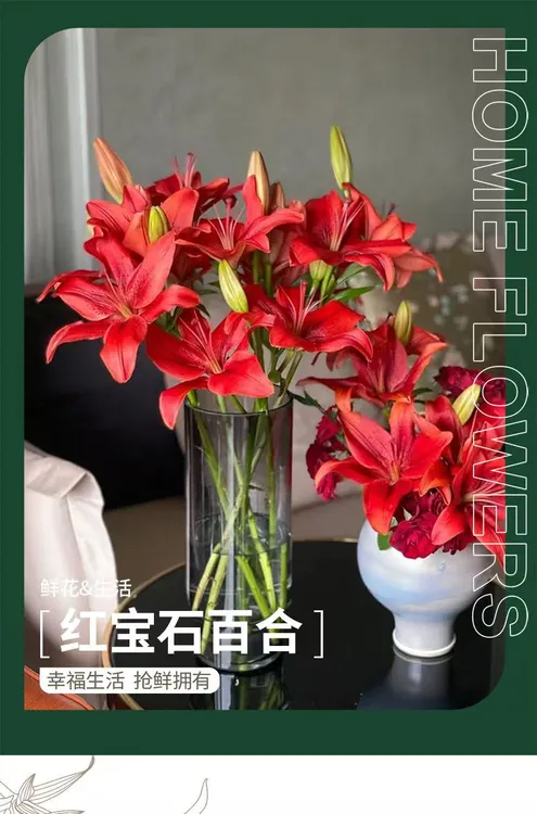 卓拉鲜花-红宝石百合