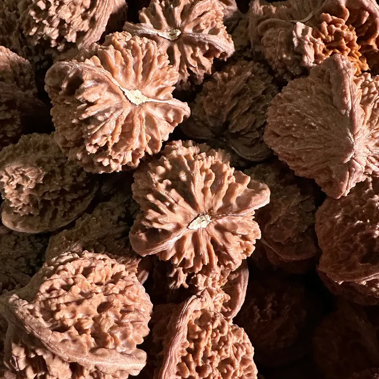 麻核桃把件2024年 全品 粗筋凹底满天星 尺寸可选