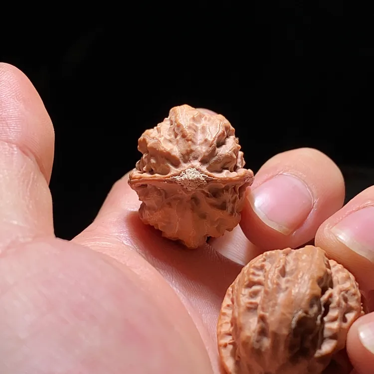 莲花座手捻小核桃手捻小秋子手捻油性十足莲花石膏底编号9