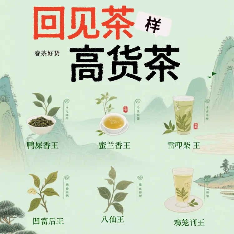 雅选乌岽单丛茶高山蜜兰香王鸭屎香王八仙王雷叩柴王凤凰单丛茶