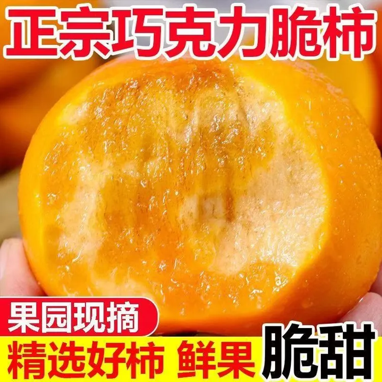 【果园直发】山西阳丰冰糖心巧克力脆柿子带箱五斤现摘新鲜孕妇水果