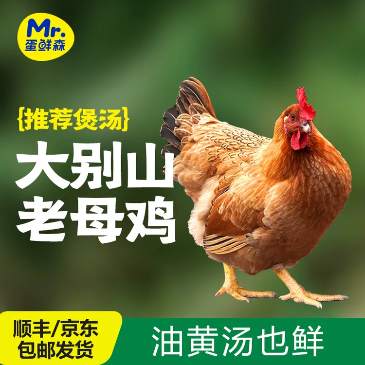 【蛋鲜森】大别山黄油老母鸡3只装共六斤以上