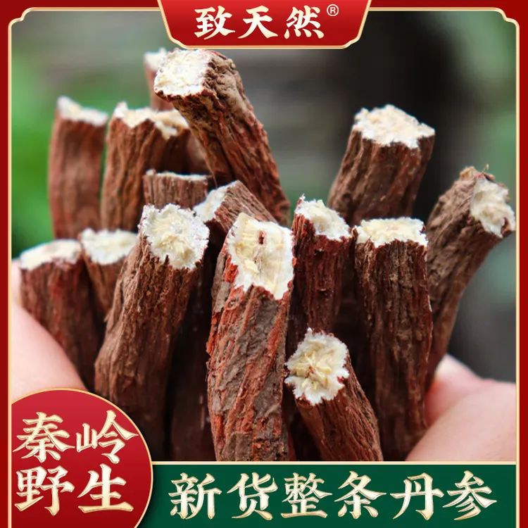 正品秦岭丹参中药材野生紫丹参丹参条可磨粉养生泡茶