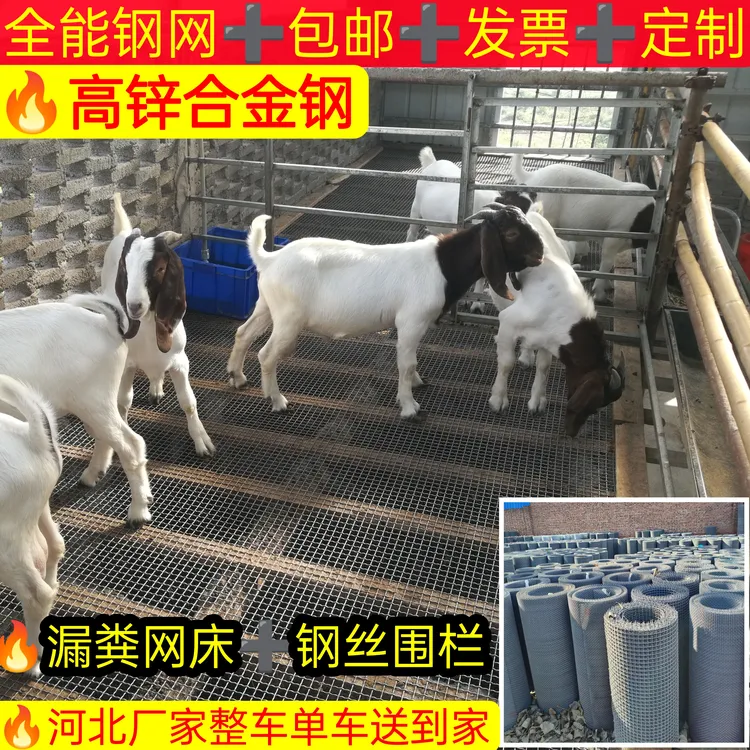 羊床钢网鸡鸭鹅狗漏粪网养殖猪床网羊床漏粪网钢丝网羊床漏粪板