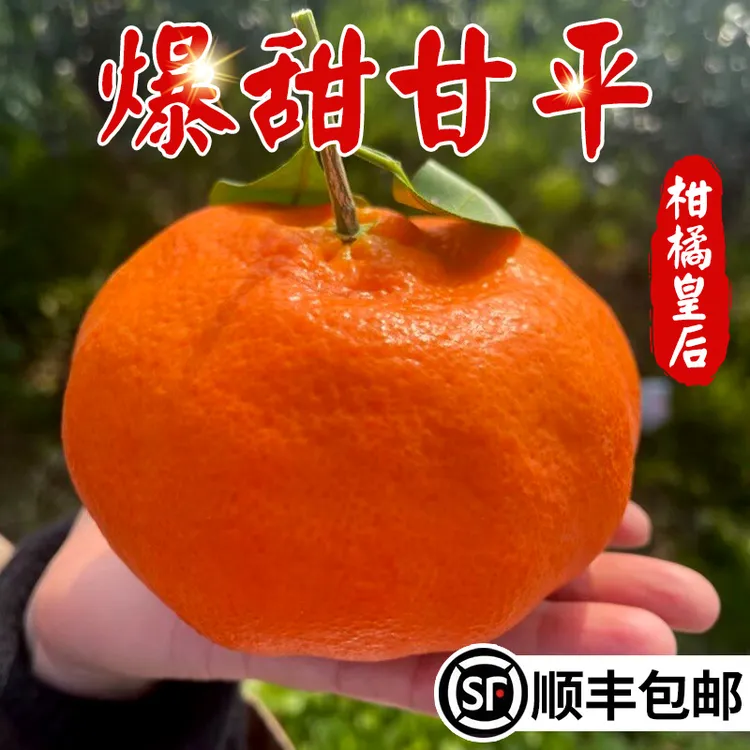 【顺丰包邮】正宗四川甘平柑橘皇后新鲜高端水果皮薄多汁个大耙耙柑
