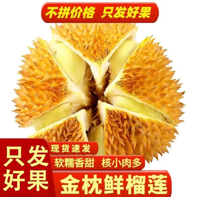 【新鲜现货】泰国金枕榴莲带壳一整个软糯香甜水果批发包邮
