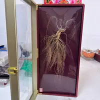 【參海】高丽参 全须 精选礼盒装