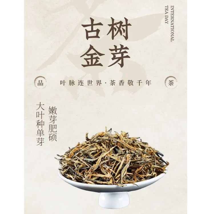 云南古树金芽 小罐/50g