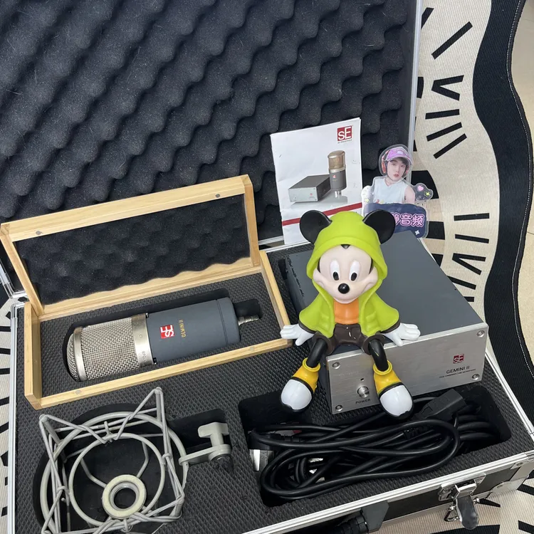 8新 SE 二手包装齐全SE双子座功能完好
