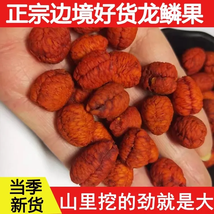 【新货】正宗龙鳞果新货精选高山好货可可西里龙鳞果参泡酒泡水无硫