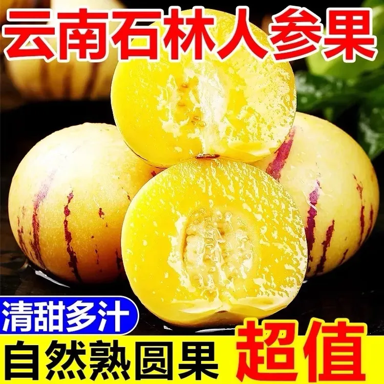 【2025年】新鲜应季人参果云南石林风化石人参果新鲜采摘产地直发